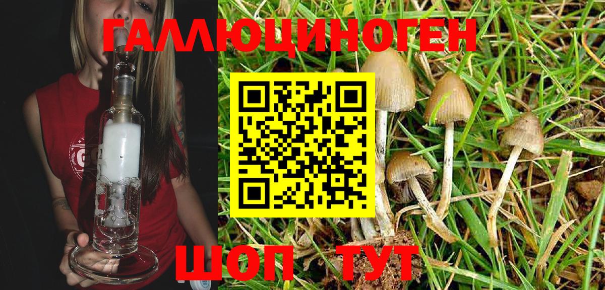 Псилоцибиновые грибы Magic Shrooms Артём