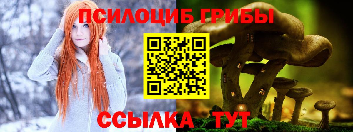 Артём  Галлюциногенные грибы Cubensis  Вход с VPN  Псилоцибиновые грибы Magic Shrooms 